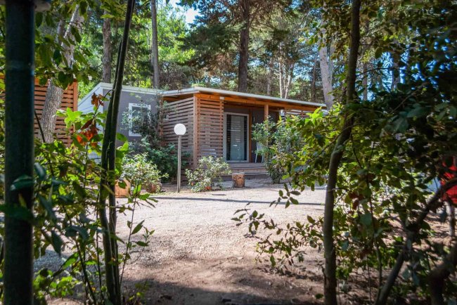 Bungalow immerso nella vegetazione tra alberi.