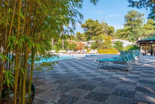Piscina con sedie a sdraio e piante verdi.