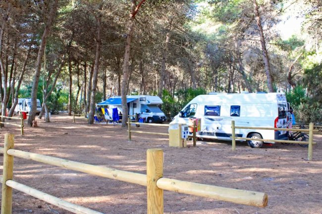 Camper parcheggiati in area camping tra gli alberi.
