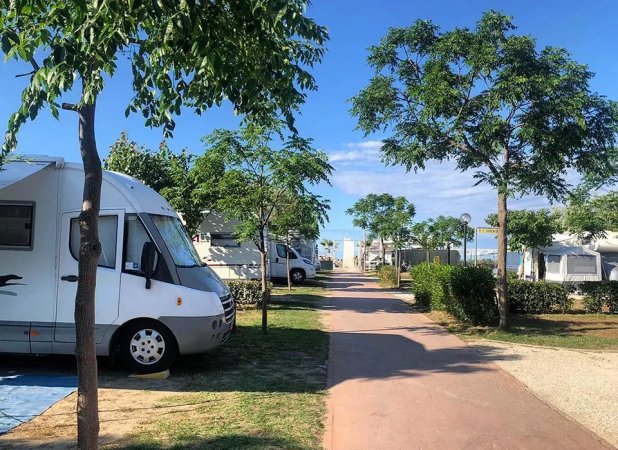 Area campeggio con camper e vialetto alberato.
