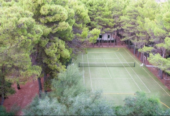 Campo da tennis in erba circondato da alberi.