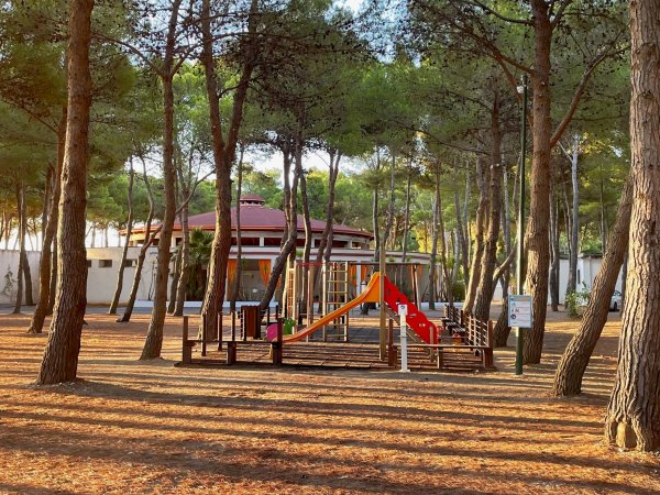 Parco giochi tra alberi con una struttura colorata.