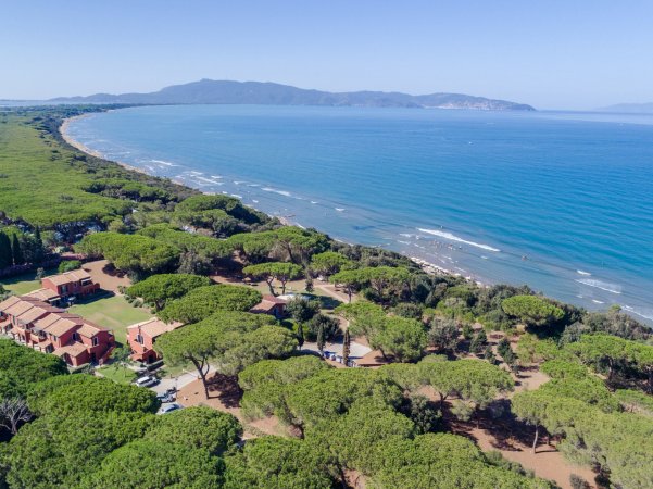 Vista aerea di mare, spiaggia e pini.
