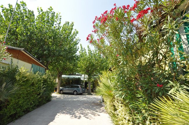 Vialetto con auto e vegetazione rigogliosa.