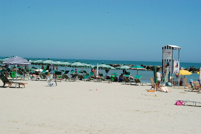 Spiaggia sabbiosa con ombrelloni verdi e lettini, mare calmo sullo sfondo.