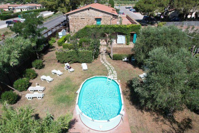 Piscina ovale in giardino con lettini e vegetazione.