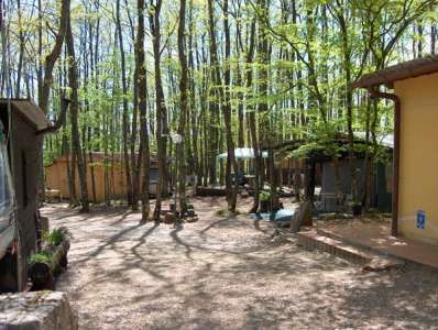 Orlando In Chianti Camping Village (AR) Toscana