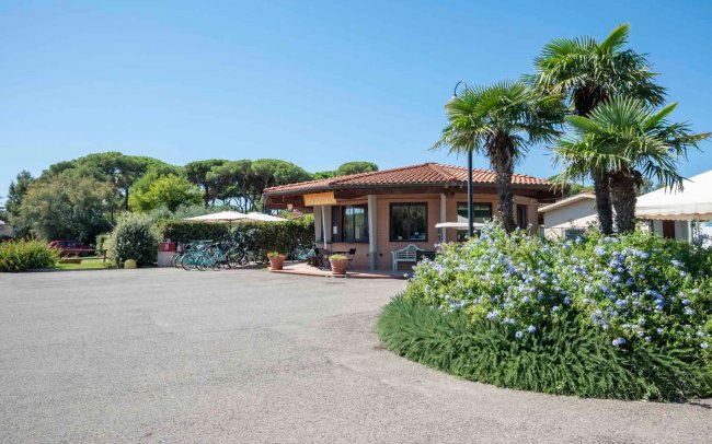 Edificio con tetto in tegole, palme e piante.