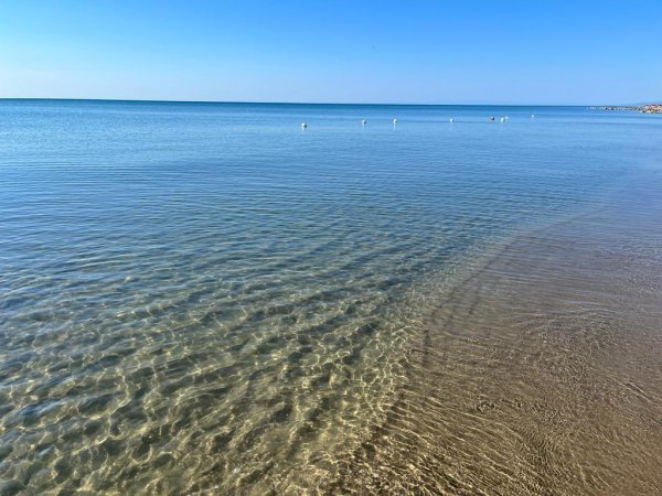 Una spiaggia con acqua limpida e calma, con onde leggere e cielo sereno.