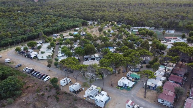 Area campeggio con roulotte e alberi sparsi.