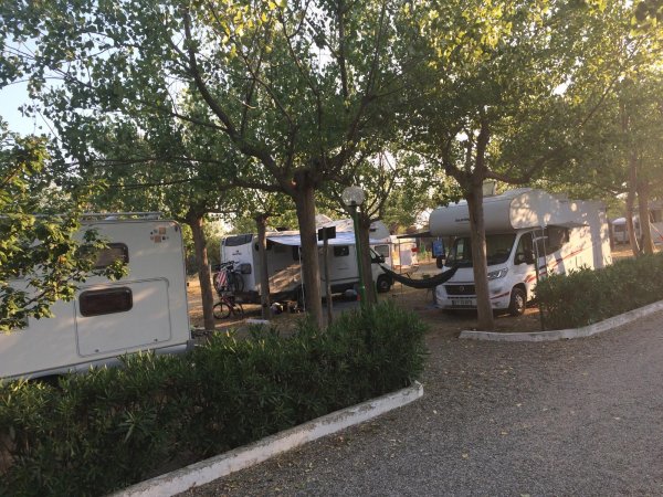 Camper parcheggiati tra gli alberi in un'area di sosta ombreggiata.