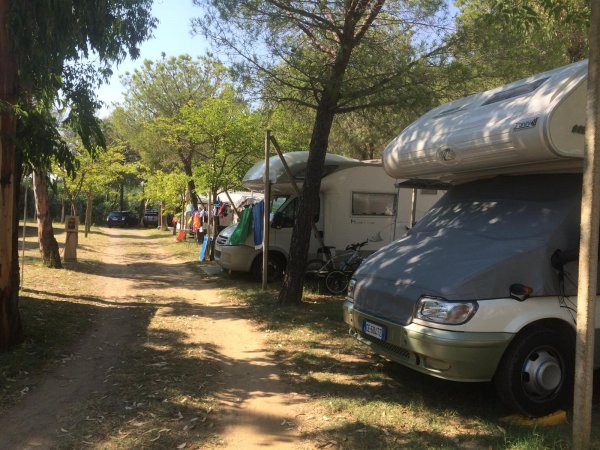Strada sterrata con camper e bici parcheggiati sotto gli alberi.