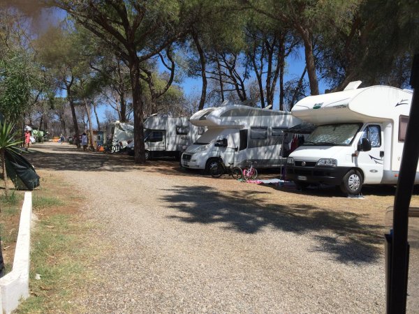 Camper parcheggiati lungo una strada sterrata in un campeggio alberato.