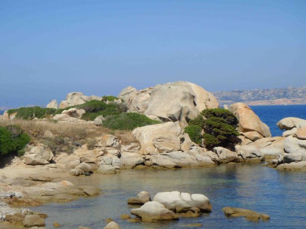 Scogliere rocciose con arbusti, cielo limpido e mare calmo.