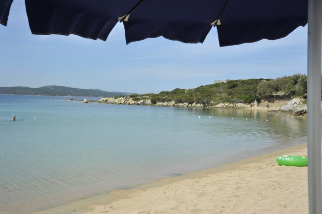 Spiaggia sabbiosa con mare calmo e ombrellone blu.