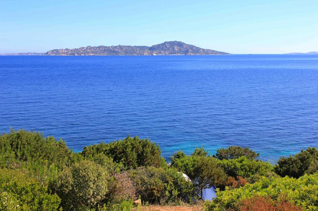 Mare blu con isola all'orizzonte e vegetazione in primo piano.