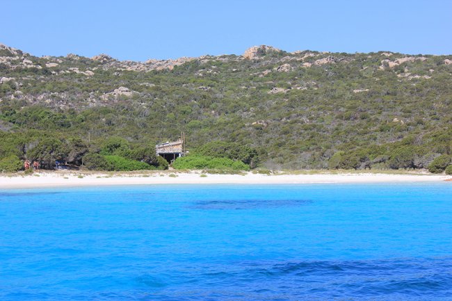 Spiaggia con mare blu e vegetazione collinare.