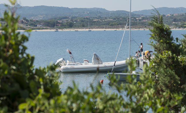 Un gommone ancorato vicino a una costa boscosa.