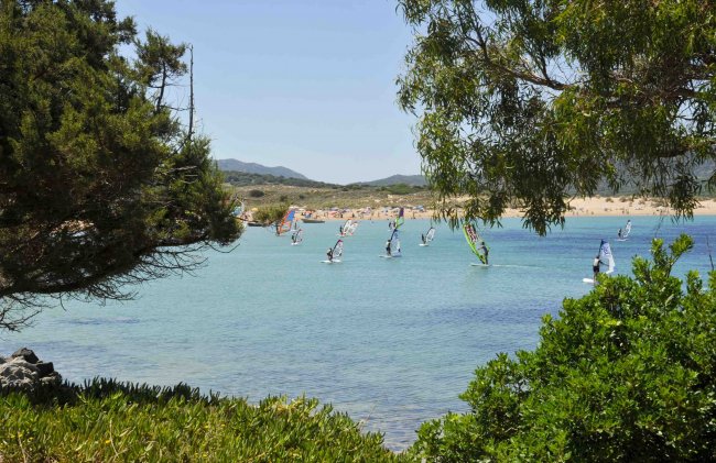 Windsurfisti su acqua calma incorniciati da alberi.