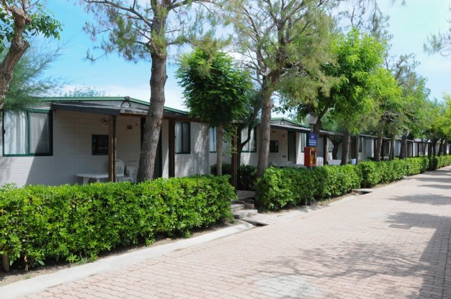 Bungalow allineati lungo un viale alberato.