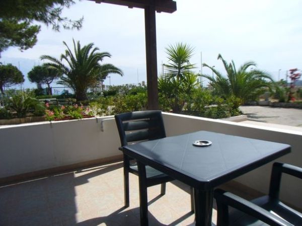 Un patio con tavolo e sedie nere, circondato da piante e palme.
