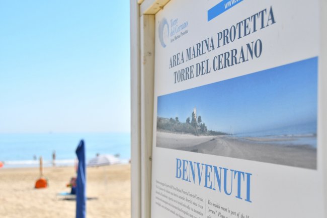 Cartello dell'Area Marina Protetta Torre del Cerrano sulla spiaggia.