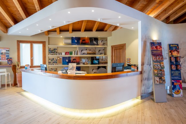 Reception luminosa con bancone curvo e scaffali sullo sfondo.