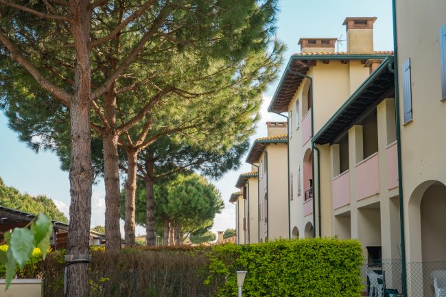 Alberi e case con tetti tradizionali.