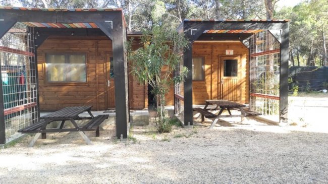 Bungalow con tavoli da picnic all'esterno.