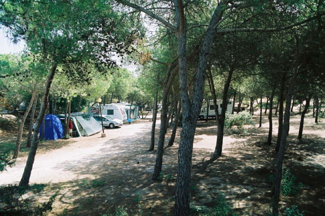 Marina Di Sorso Camping Village (SS) Sardegna