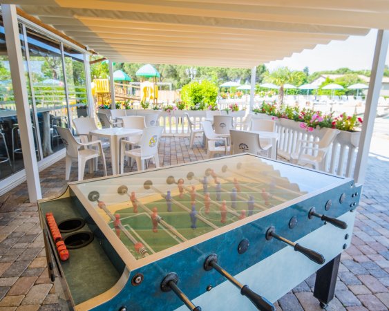 Camping Le Palme (LI) Toscana