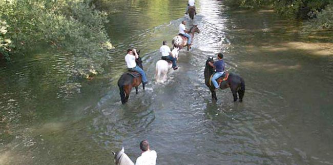 Persone a cavallo attraversano un fiume poco profondo, circondato da alberi.