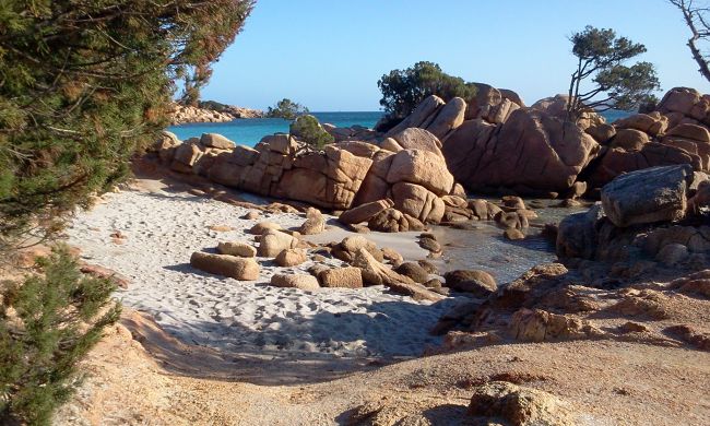 Piccola spiaggia con sabbia, rocce rossastre e alberi, affacciata sul mare.