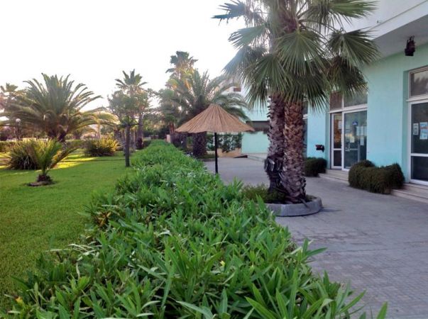 Giardino con palme lungo un edificio.