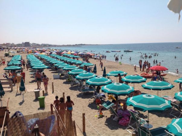 Spiaggia affollata con ombrelloni verdi e bagnanti.