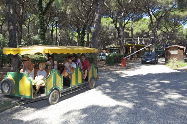 Un trenino turistico verde e giallo porta passeggeri attraverso un'area boschiva.