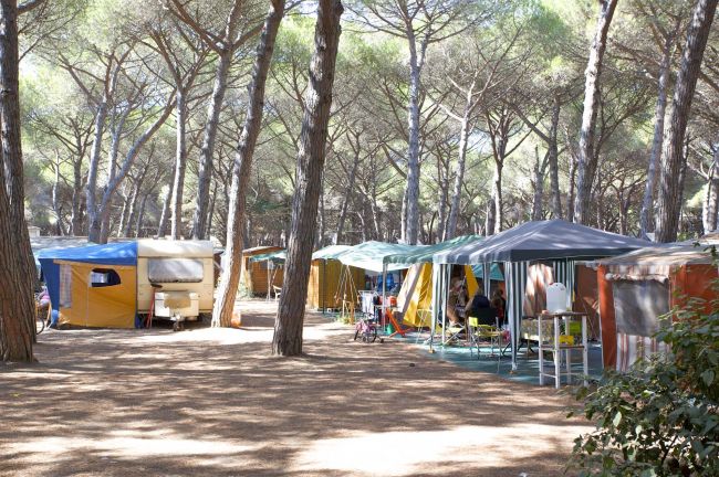 Campeggio con tende e caravan tra alberi in un'area forestale.