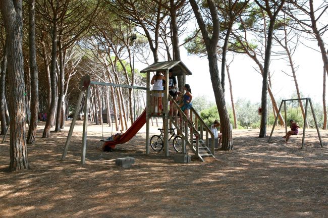 Bambini giocano su uno scivolo in un'area giochi tra alberi.
