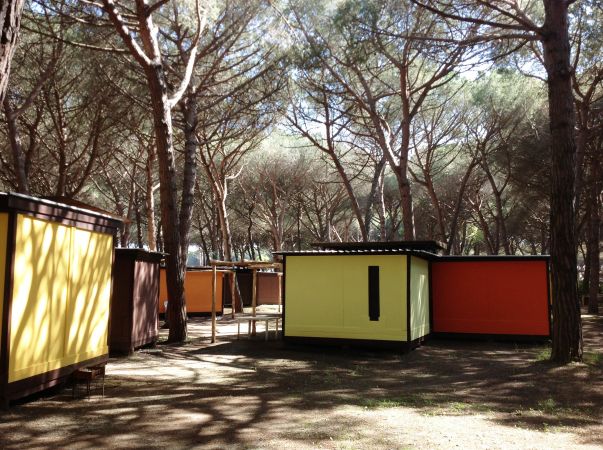 Casette gialle e arancioni tra alberi alti.