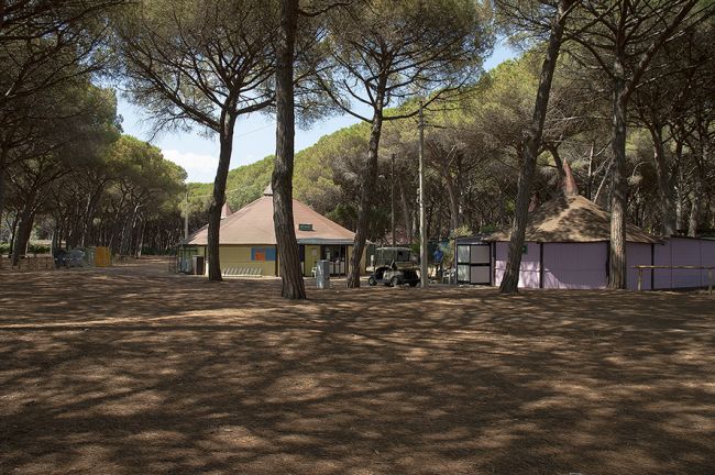Piazzale ombreggiato con edifici e alberi alti.
