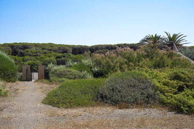 Sentiero che porta a un cancello in un'area verde con palme e cespugli.