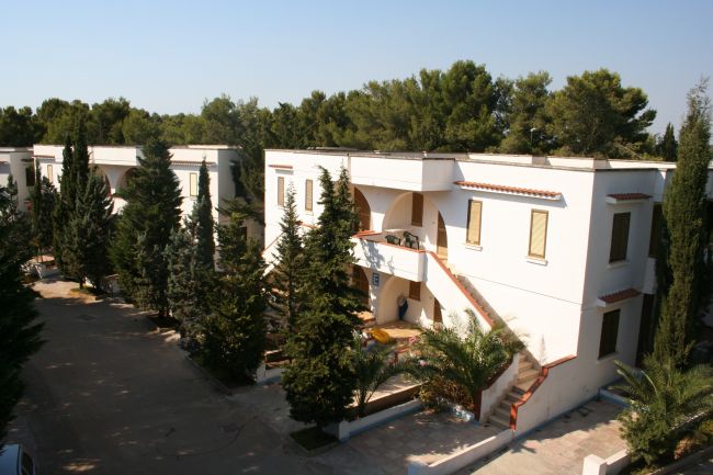 Edifici bianchi circondati da alberi.