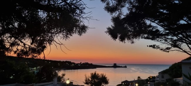Tramonto su una baia con alberi in silhouette e una torre lontana.