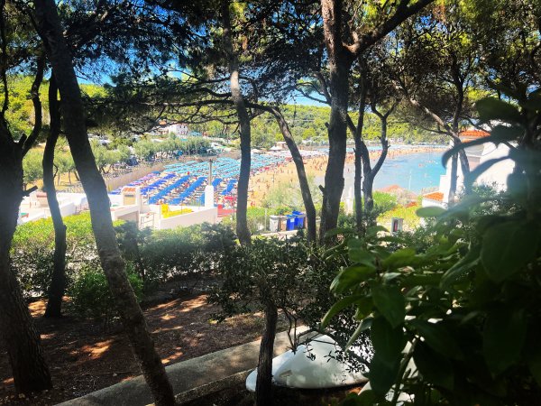 Vista attraverso gli alberi di una spiaggia con sdraio e ombrelloni colorati.