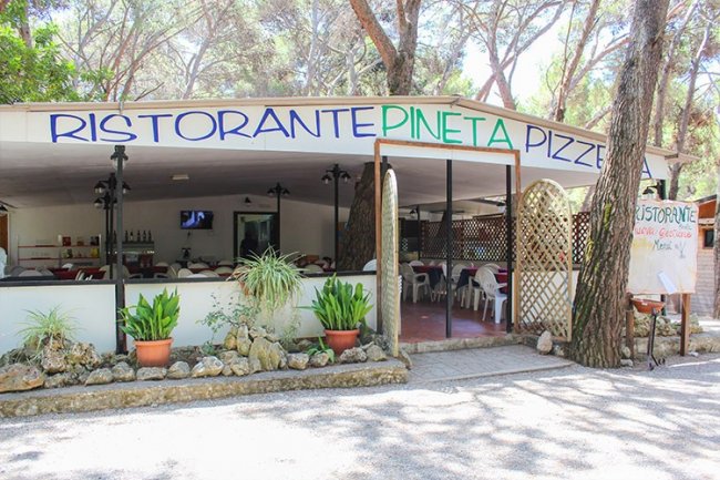 Ristorante con terrazza all'aperto tra gli alberi.
