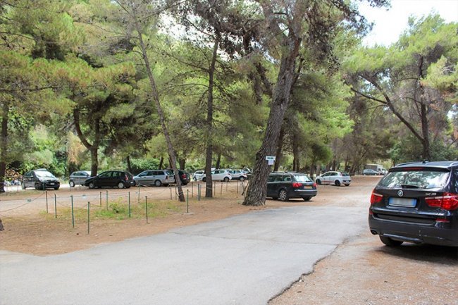 Parcheggio tra alberi con diverse auto.