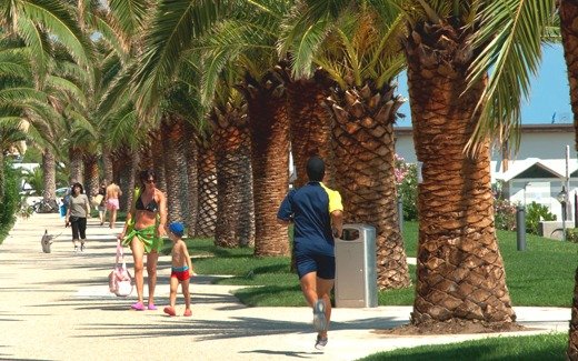 Passeggiata con palme e persone.