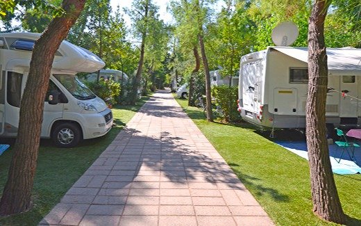 Sentiero tra camper e alberi.