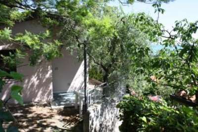 Parte di una casa nascosta da alberi verdi, con una porta e ombre di foglie sul terreno.