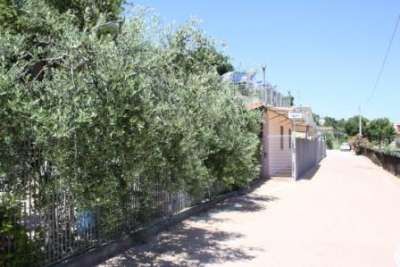 Un vialetto soleggiato fiancheggiato da alberi e recinzioni metalliche.